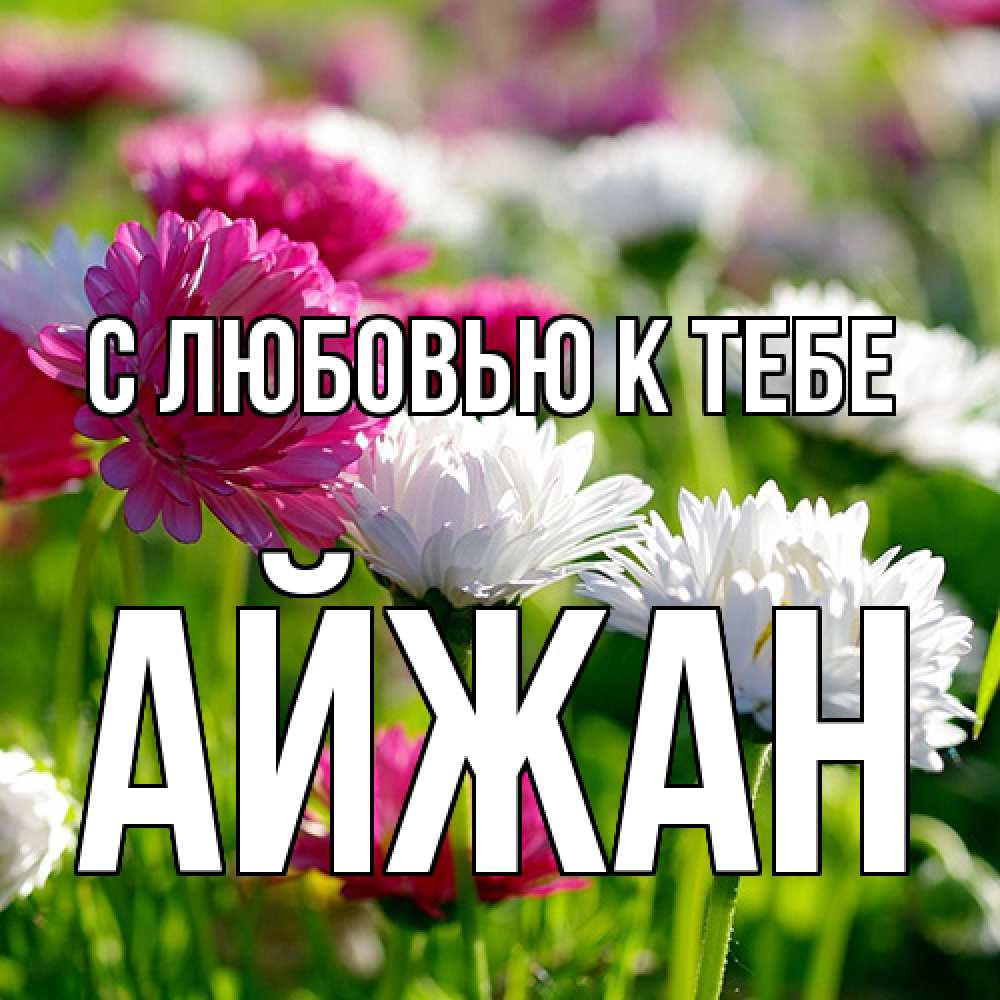 Открытка  с именем. Айжан, С любовью к тебе  