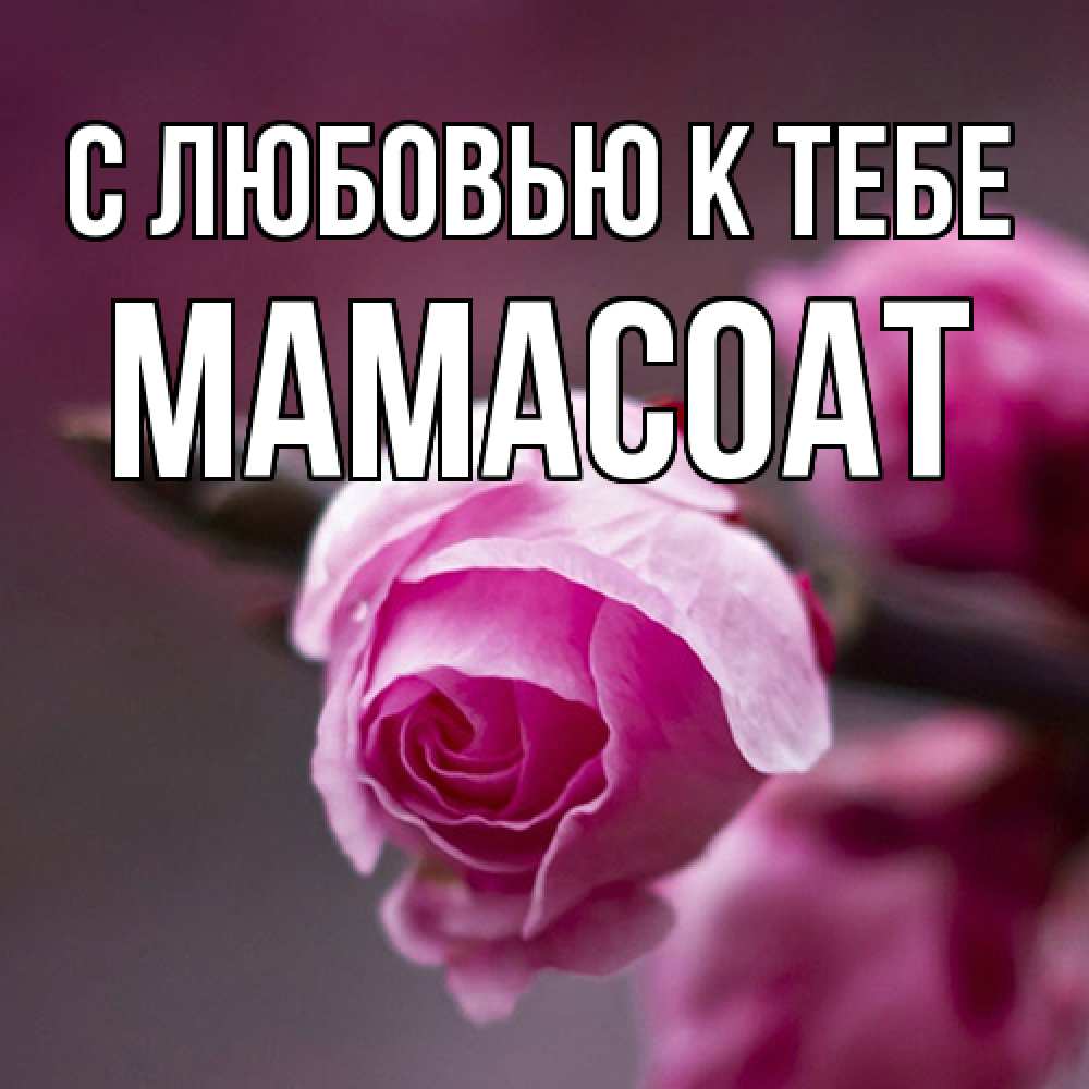 Открытка  с именем. Мамасоат, С любовью к тебе  