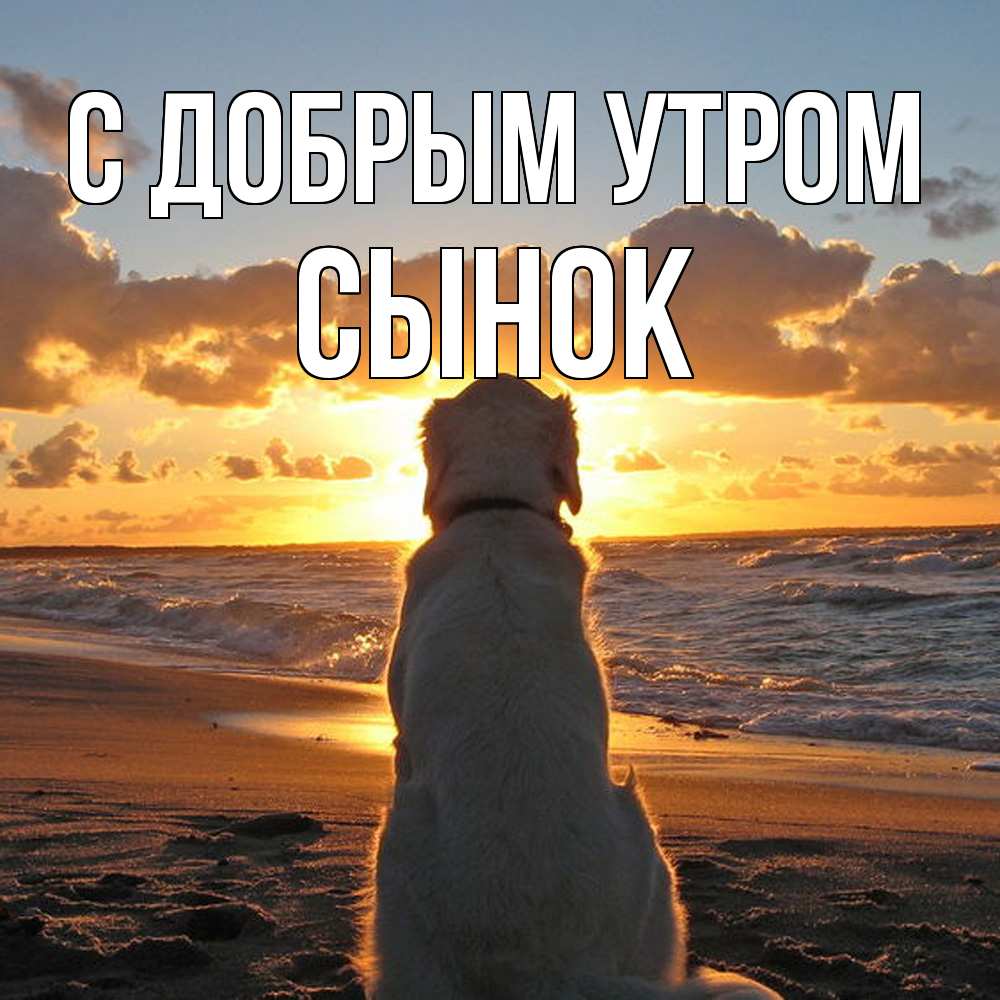 Открытка  с именем. Сынок, С добрым утром  