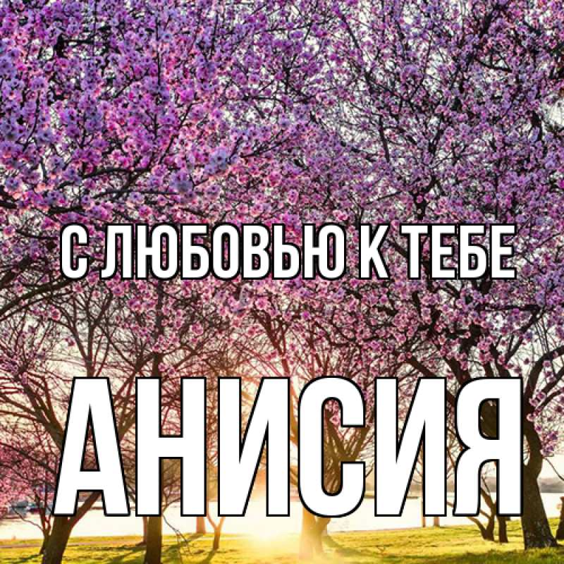 Картинка С любовью к тебе, Анисия