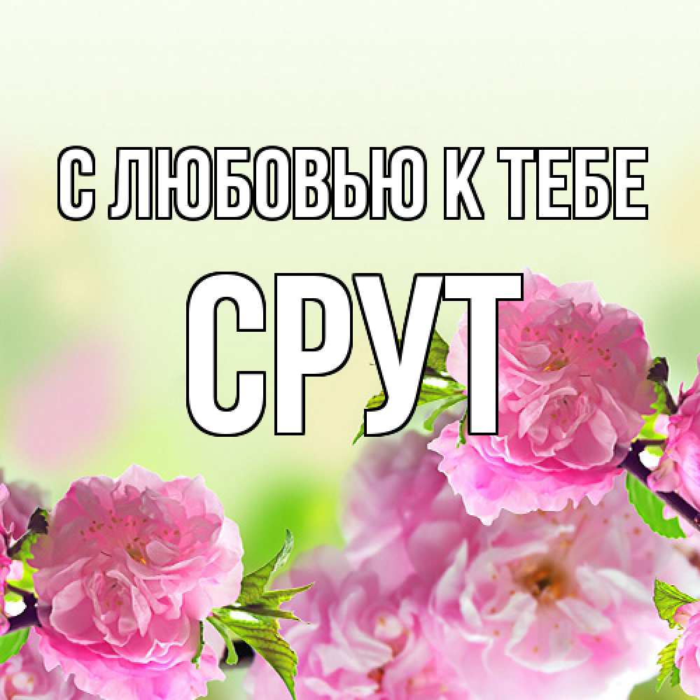 Открытка  с именем. срут, С любовью к тебе  