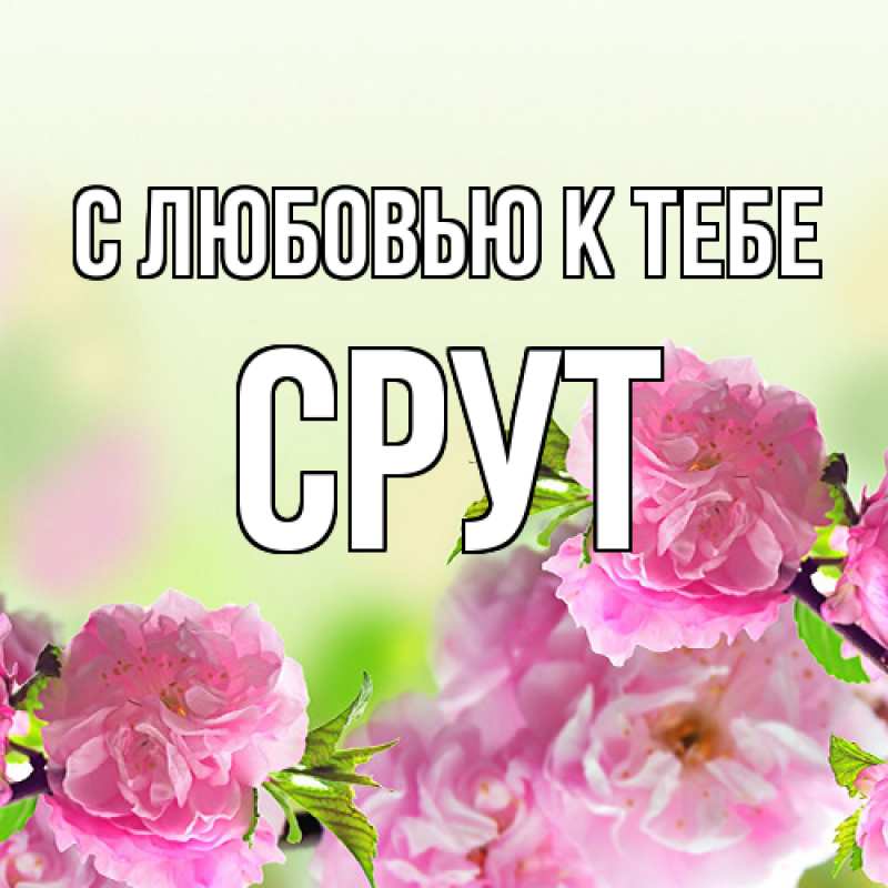 Картинка С любовью к тебе, срут