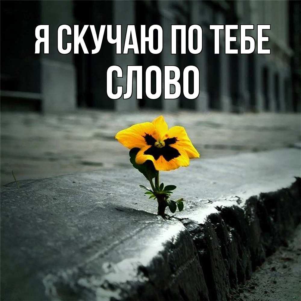 Открытка  с именем. слово, Я скучаю по тебе  