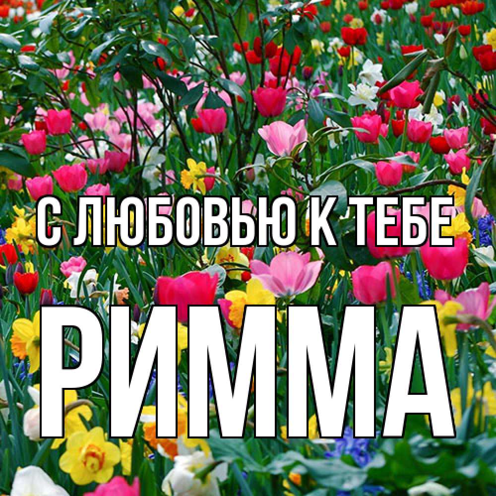 Открытка  с именем. Римма, С любовью к тебе  