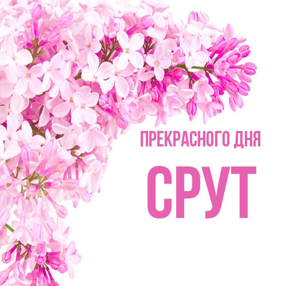Открытка  с именем. срут, Прекрасного дня  