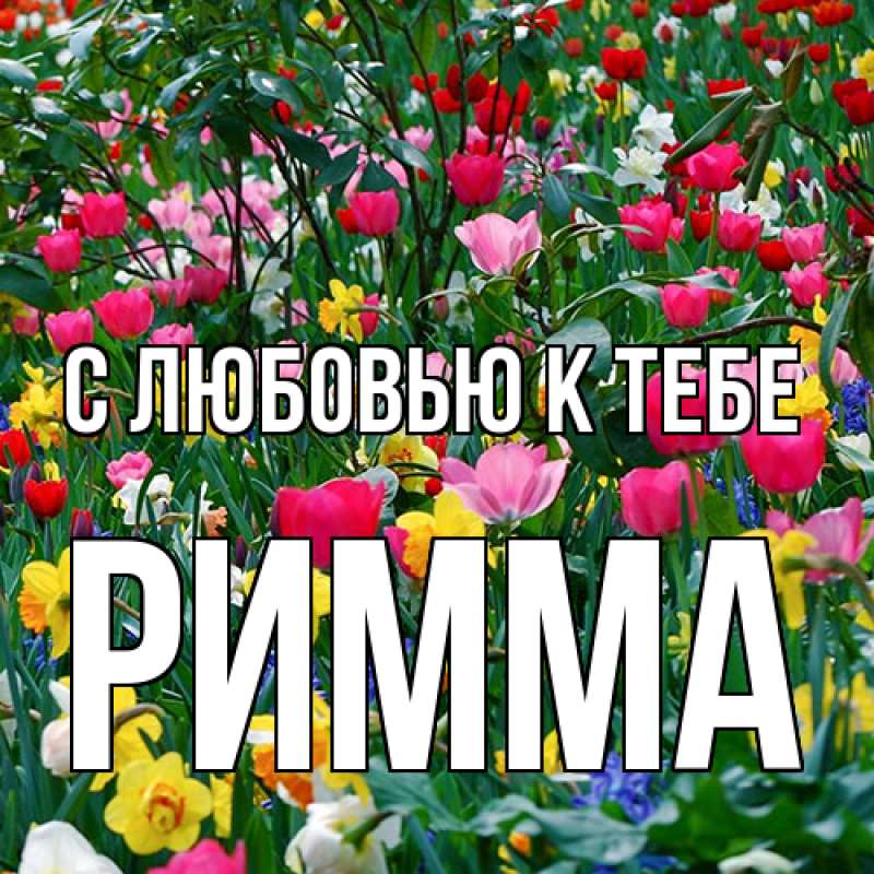 Картинка С любовью к тебе, Римма