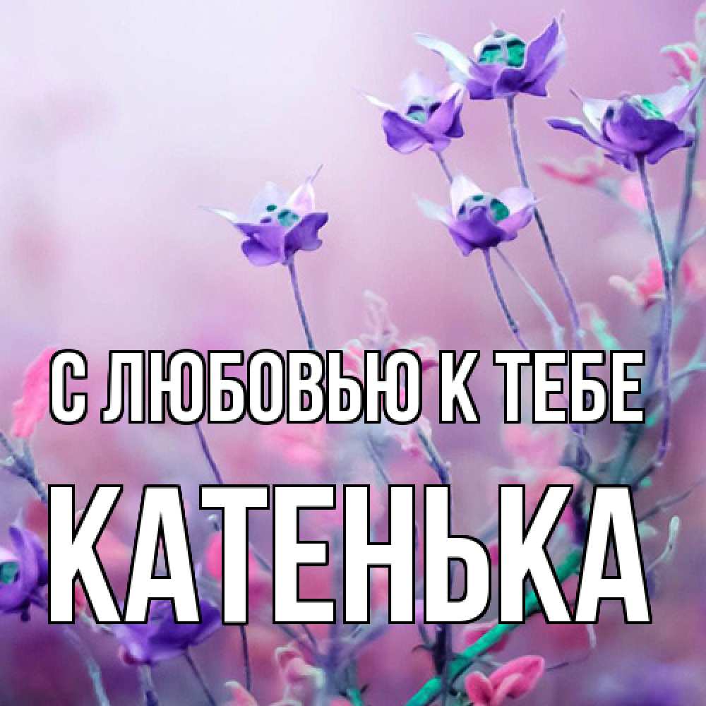 Открытка  с именем. Катенька, С любовью к тебе  