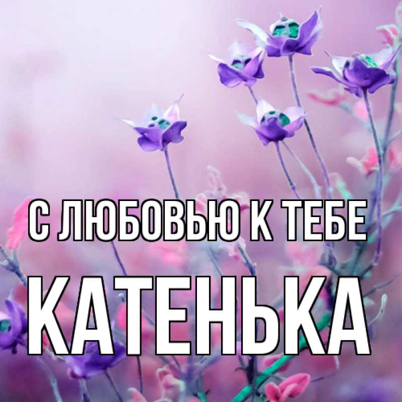 Картинка С любовью к тебе, Катенька