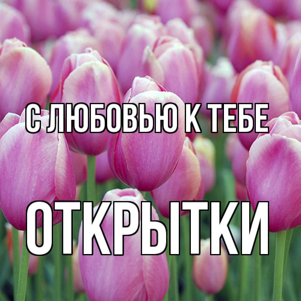 Открытка  с именем. открытки, С любовью к тебе  