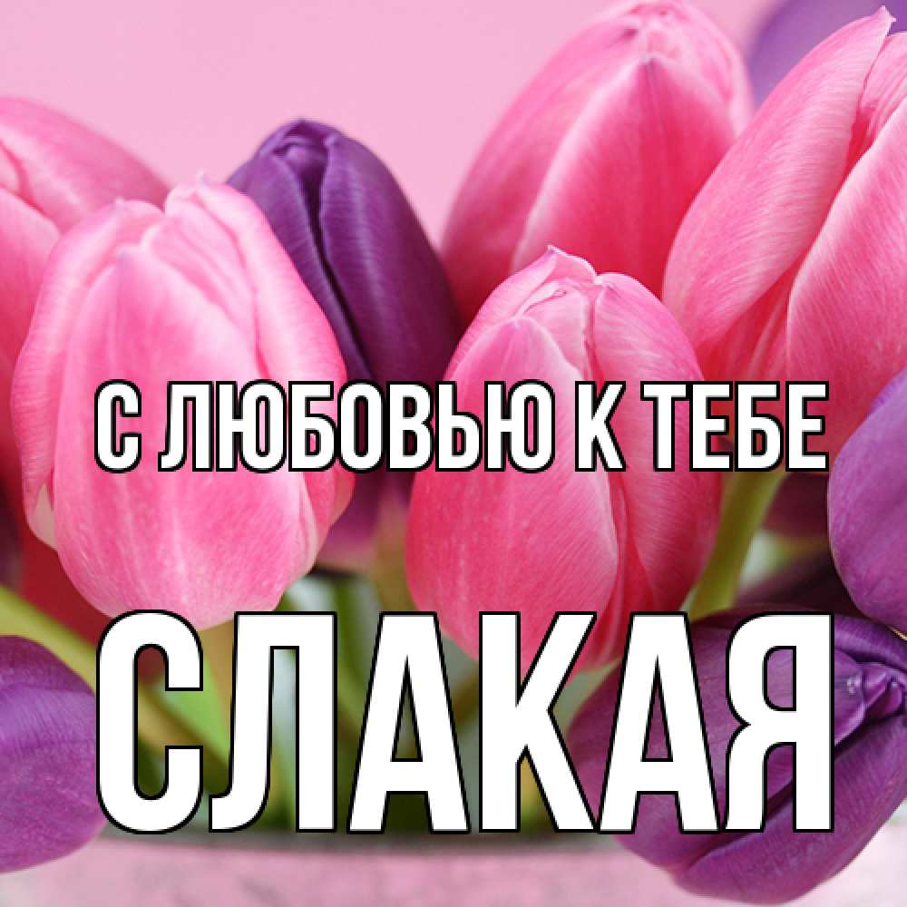 Открытка  с именем. Слакая, С любовью к тебе  