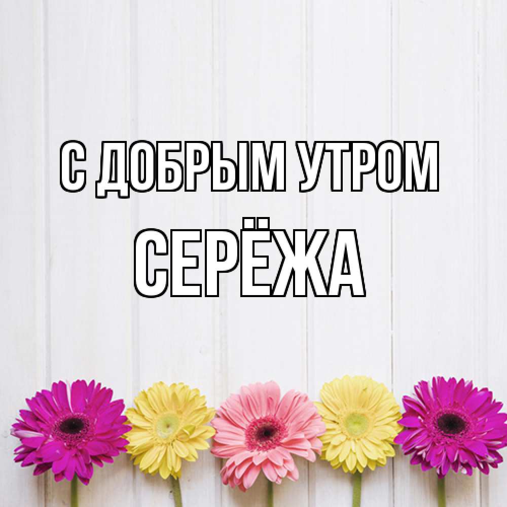 Открытка  с именем. Серёжа, С добрым утром  