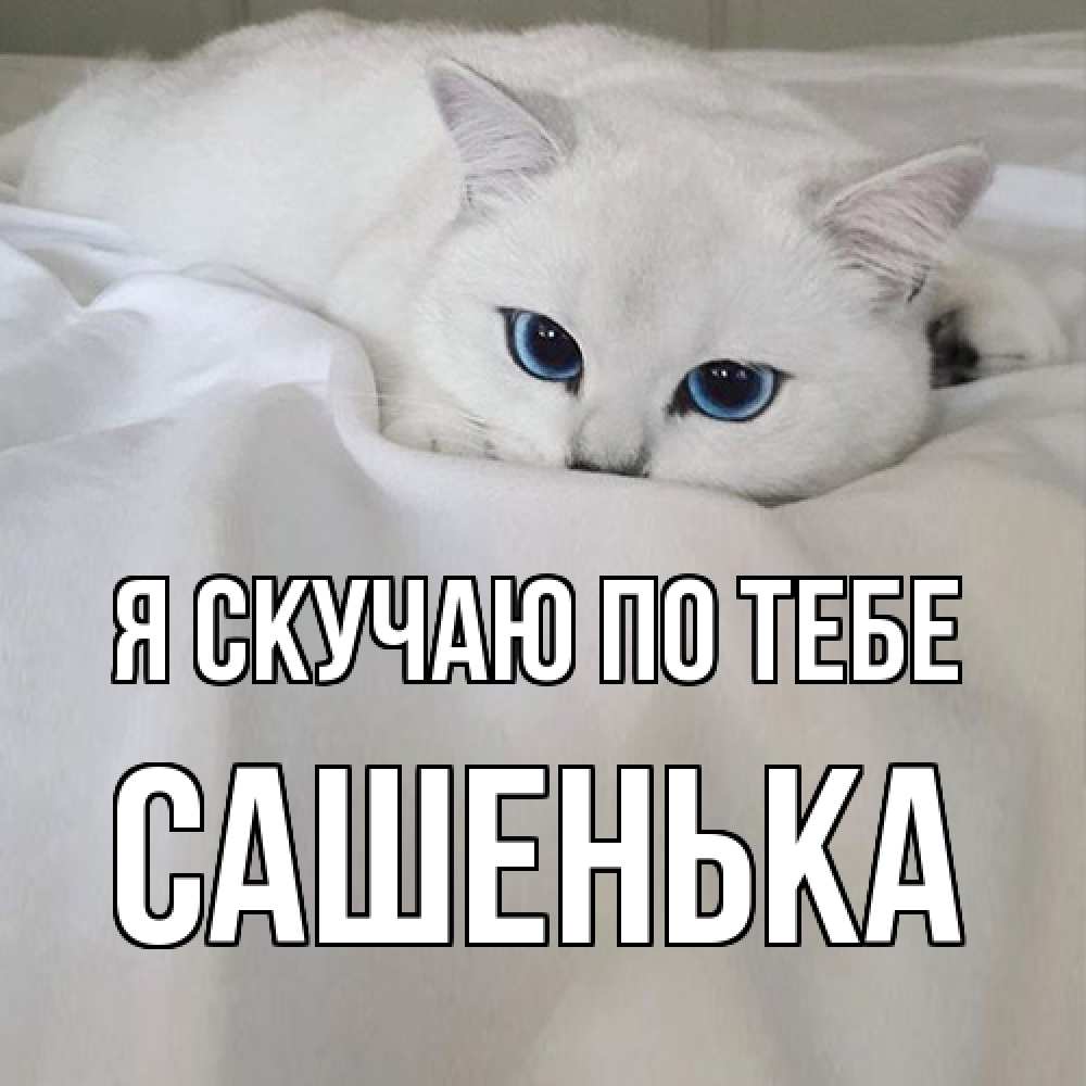 Открытка  с именем. Сашенька, Я скучаю по тебе  