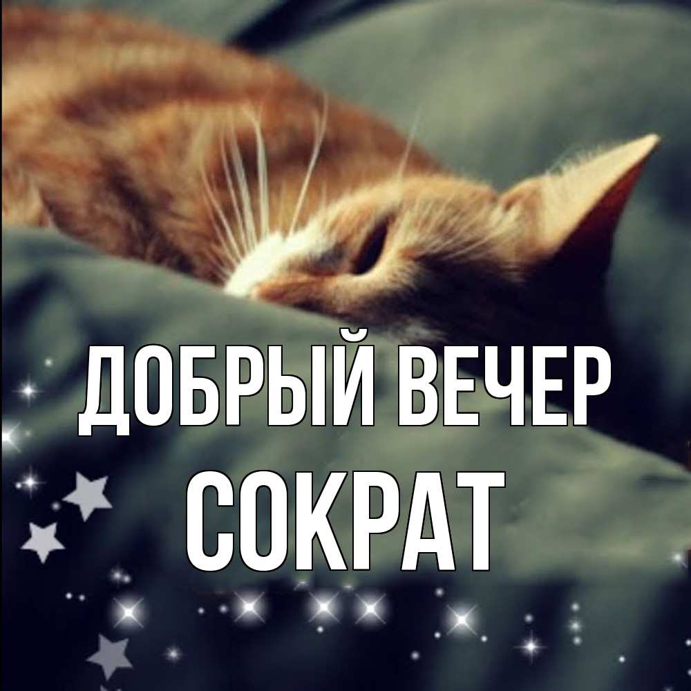 Открытка  с именем. Сократ, Добрый вечер  