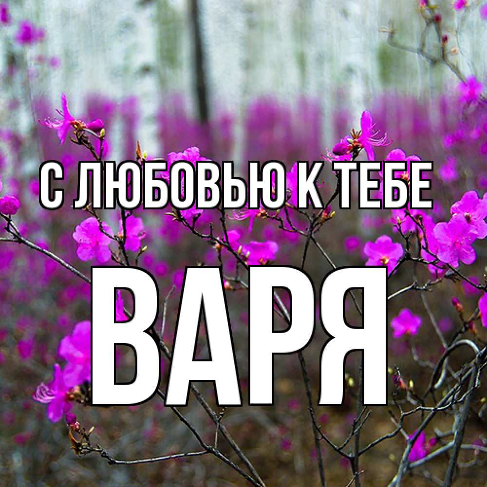 Открытка  с именем. варя, С любовью к тебе  