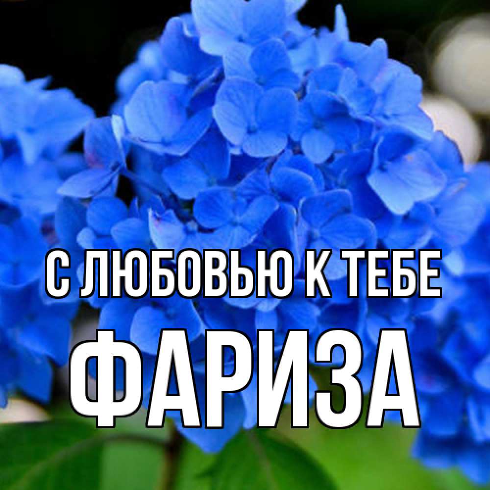Открытка  с именем. Фариза, С любовью к тебе  