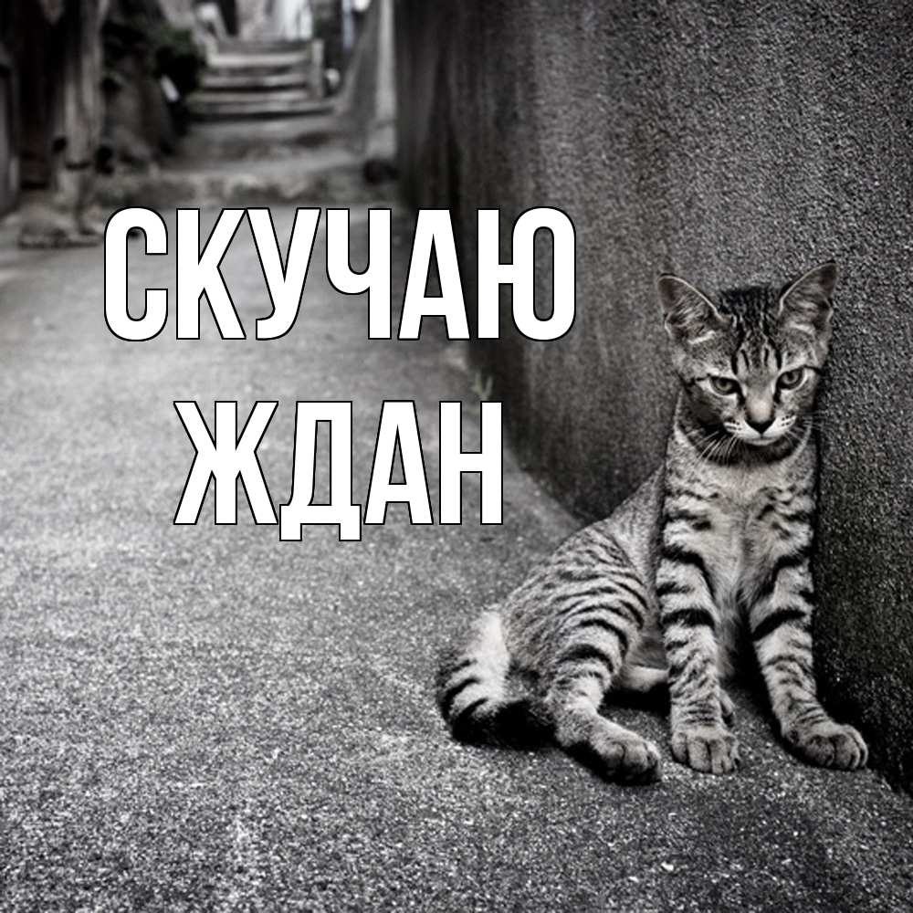 Открытка  с именем. Ждан, Скучаю  