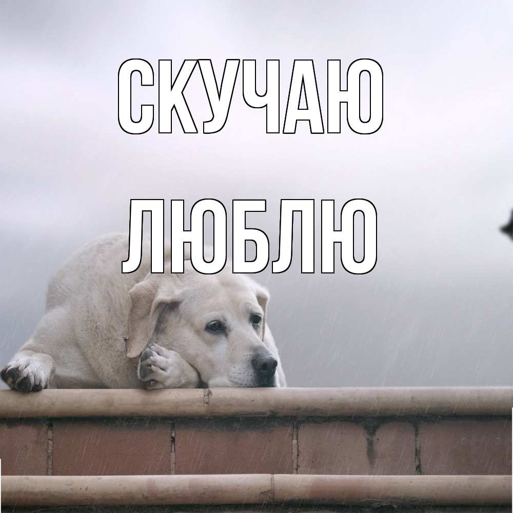 Открытка  с именем. Люблю, Скучаю  