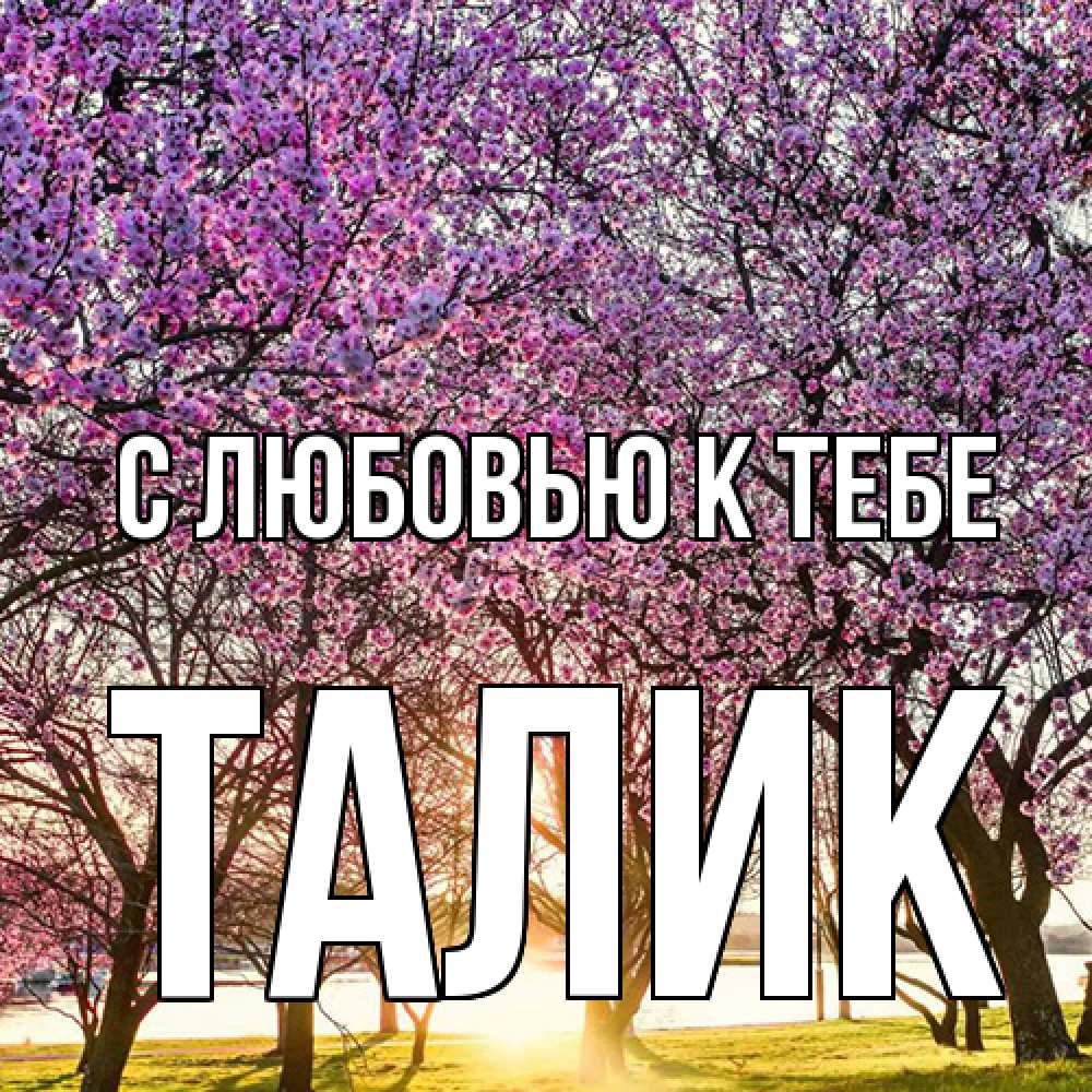 Открытка  с именем. Талик, С любовью к тебе  