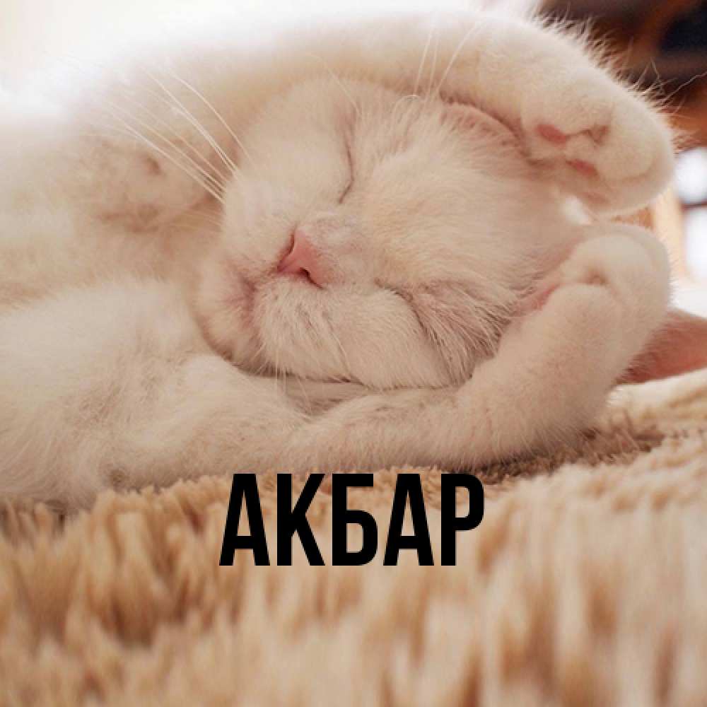Открытка  с именем. Акбар, Главная  