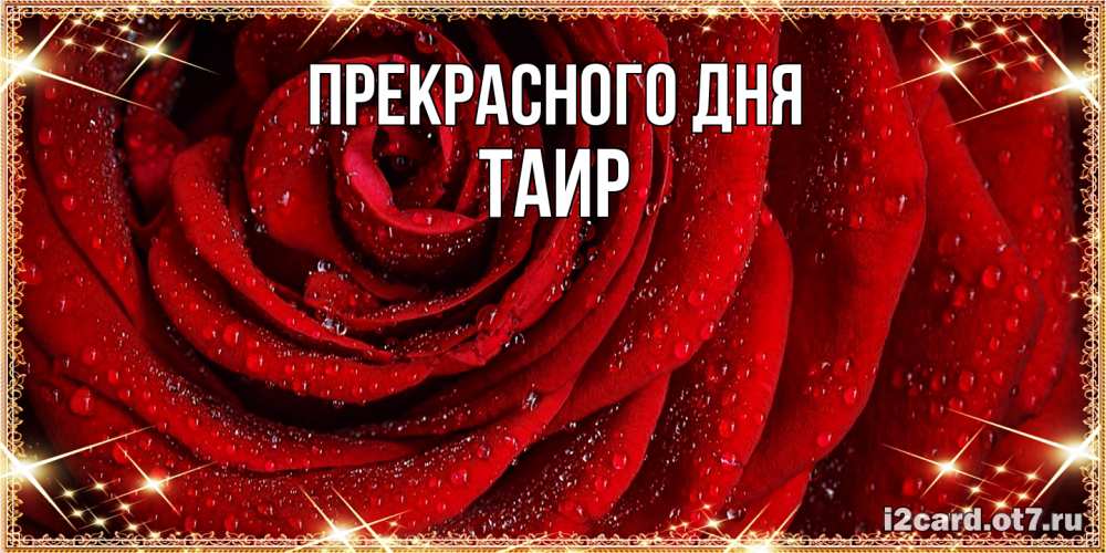 Открытка  с именем. Таир, Прекрасного дня  