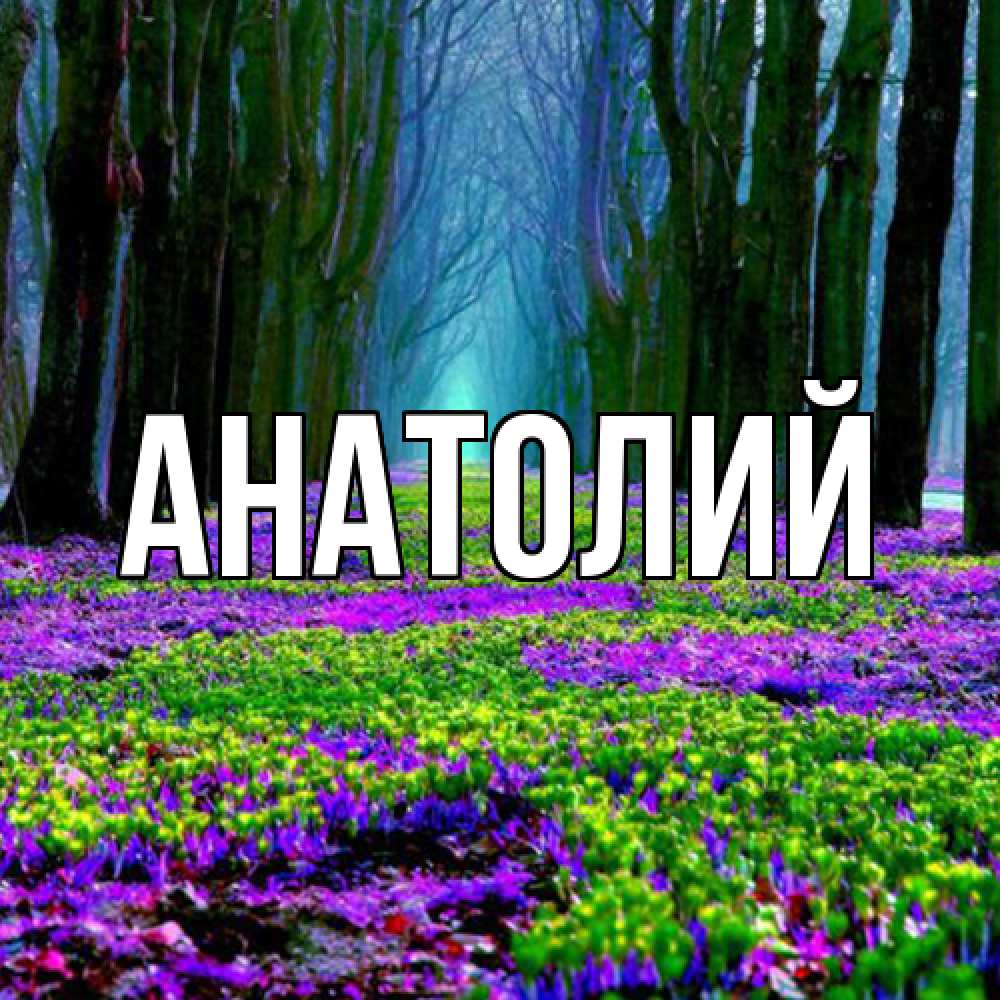 Открытка  с именем. Анатолий, Главная  
