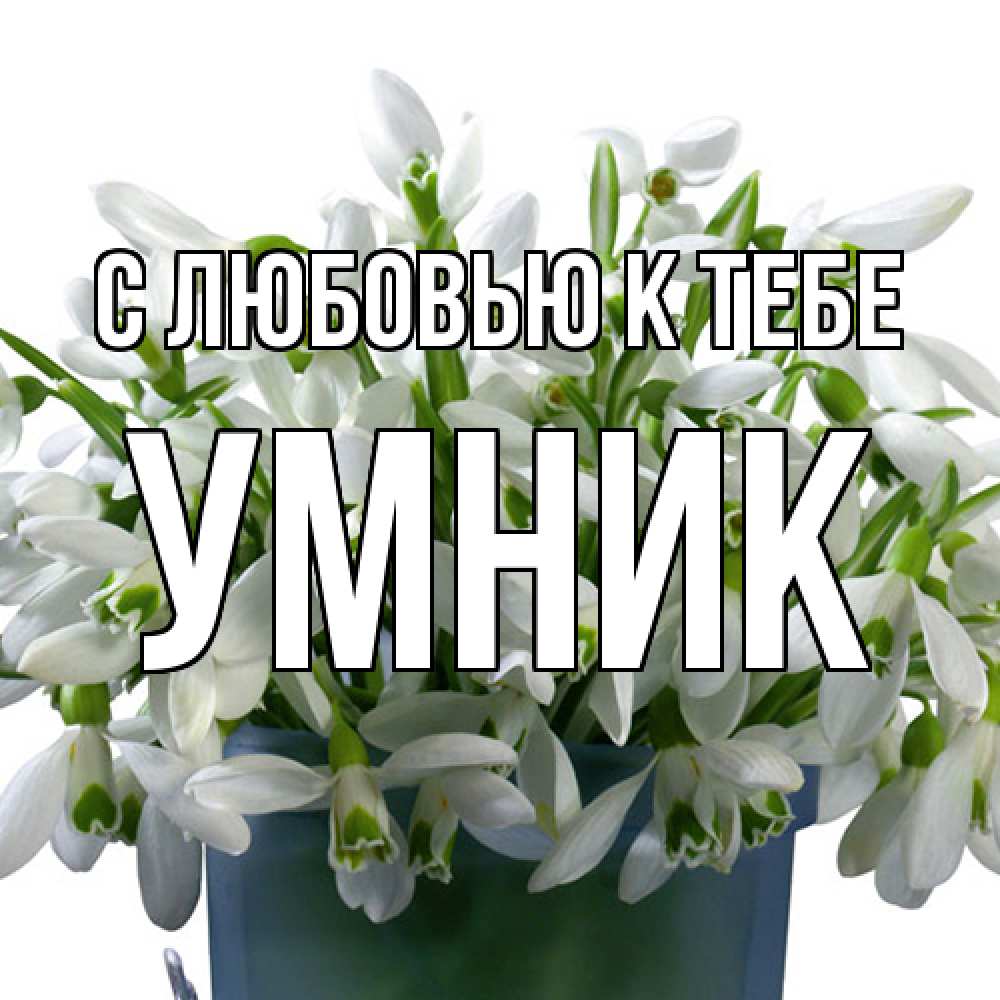 Открытка  с именем. Умник, С любовью к тебе  