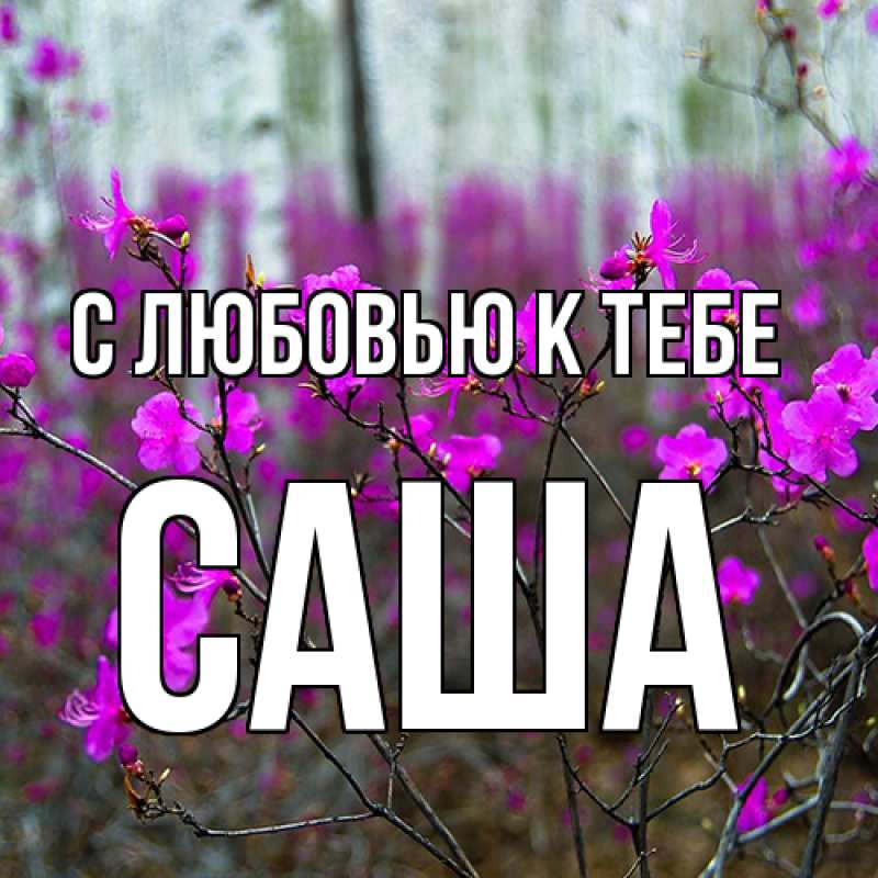 Картинка С любовью к тебе, Саша