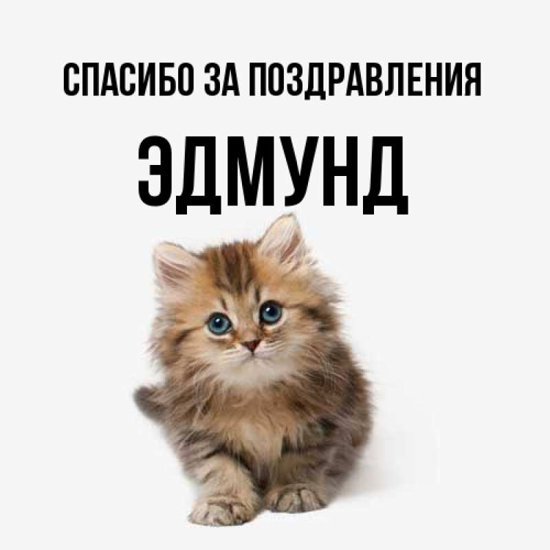 Картинка Спасибо за поздравления, Эдмунд