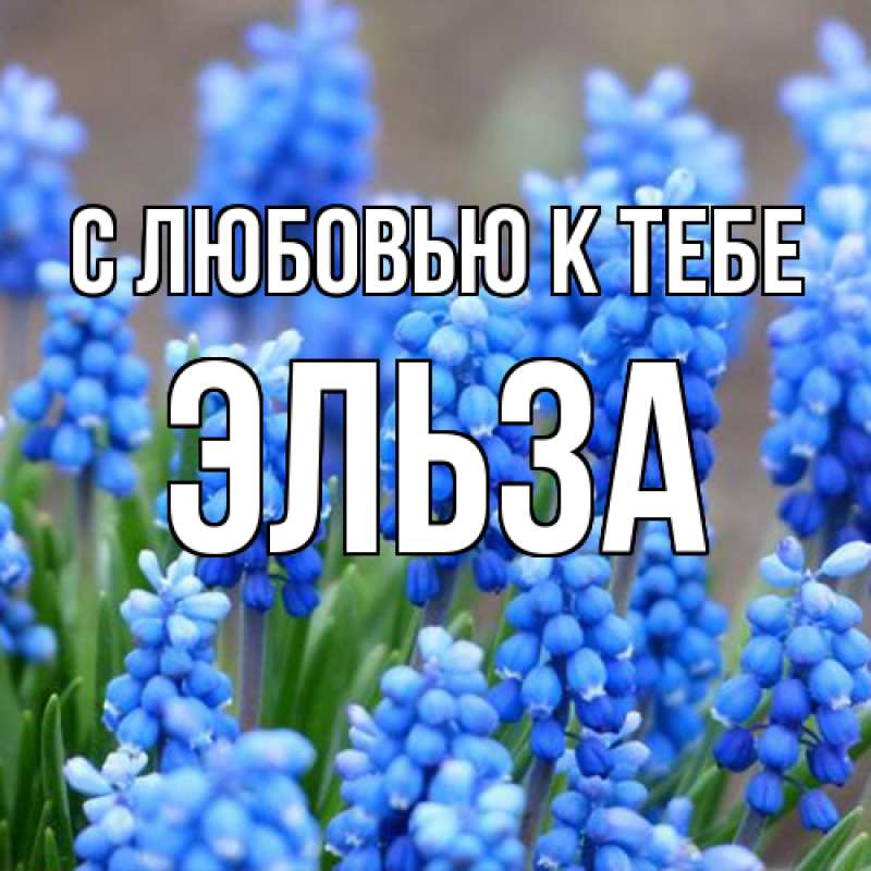 Открытка с именем, Эльза, С любовью к тебе