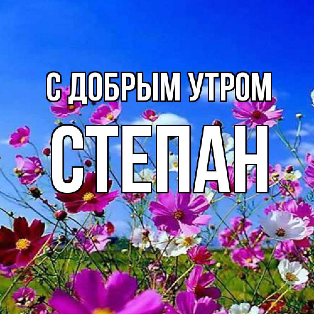 Открытка  с именем. Степан, С добрым утром  