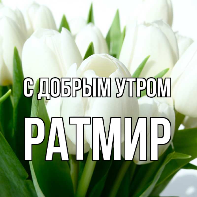 Картинка С добрым утром, Ратмир