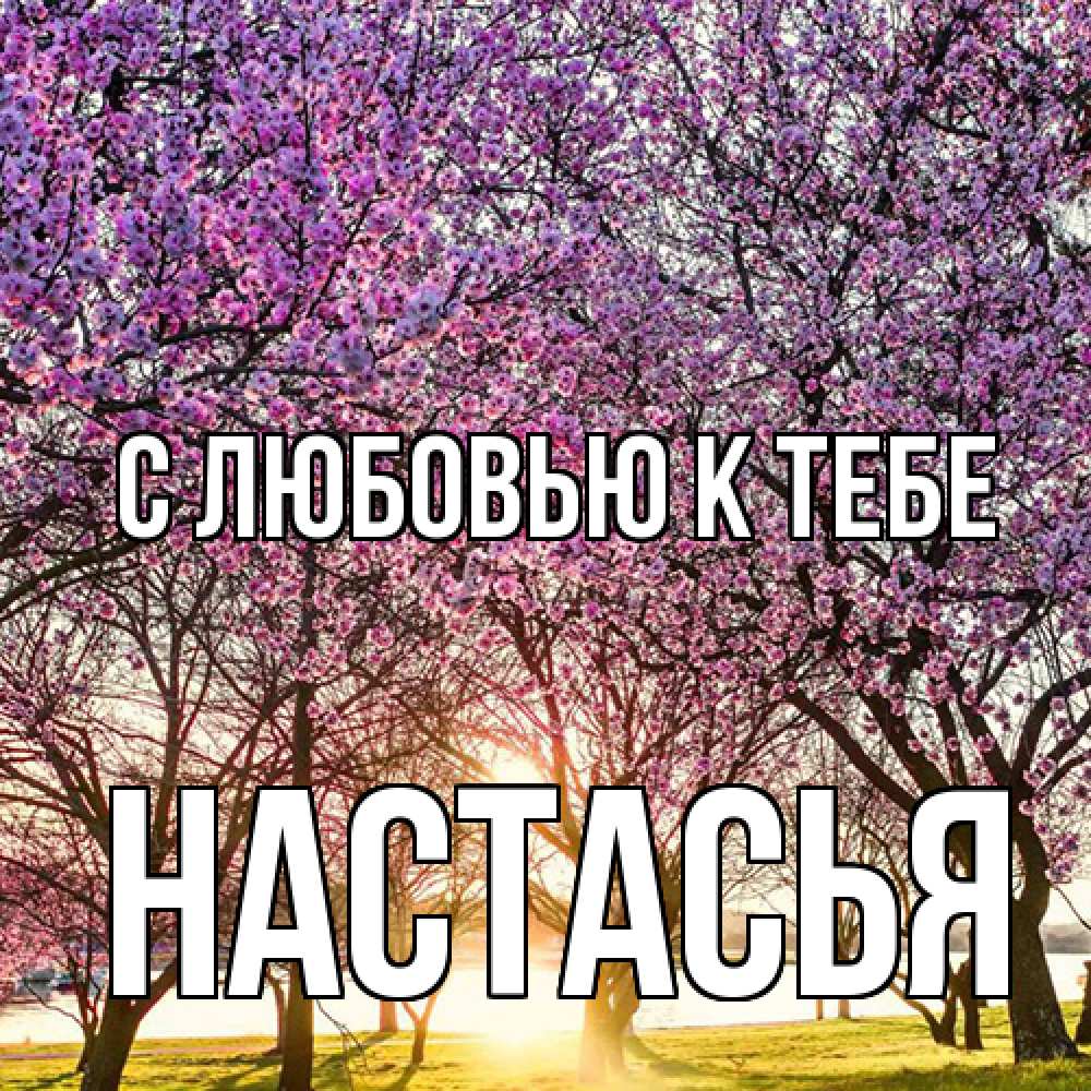 Открытка  с именем. Настасья, С любовью к тебе  