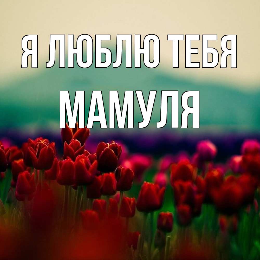 Открытка  с именем. Мамуля, Я люблю тебя  