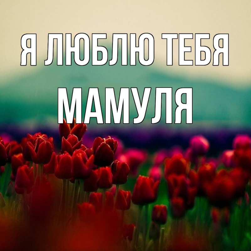 Картинка Я люблю тебя, Мамуля