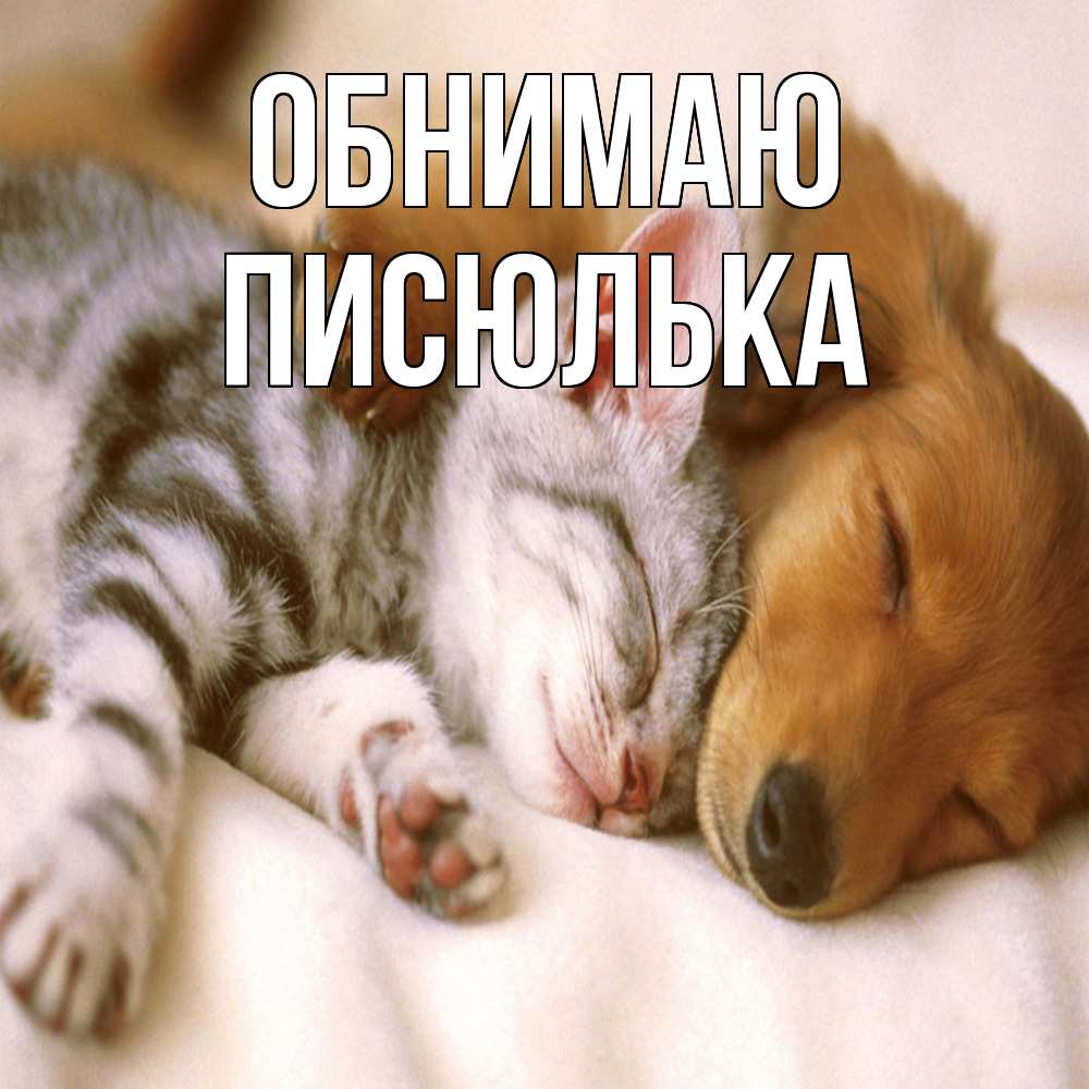 Открытка  с именем. Писюлька, Обнимаю  
