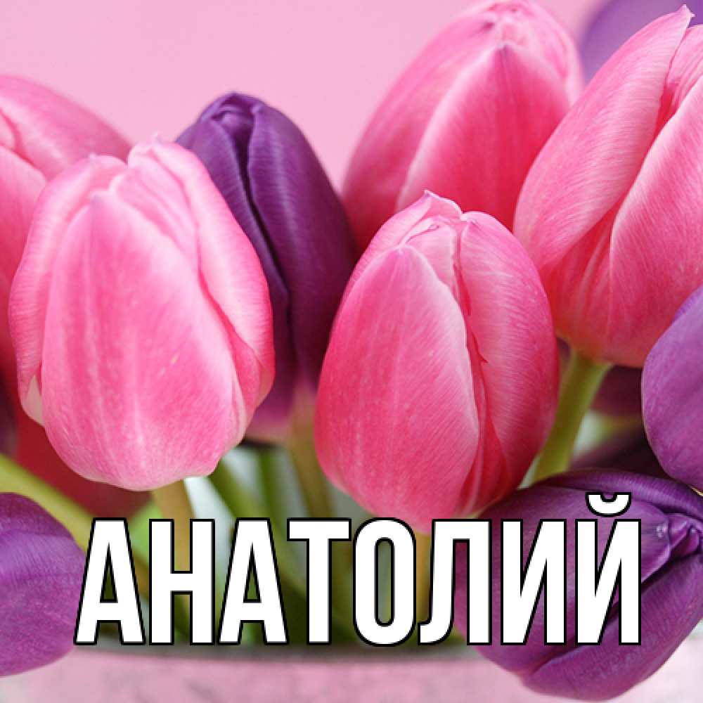 Открытка  с именем. Анатолий, Главная  