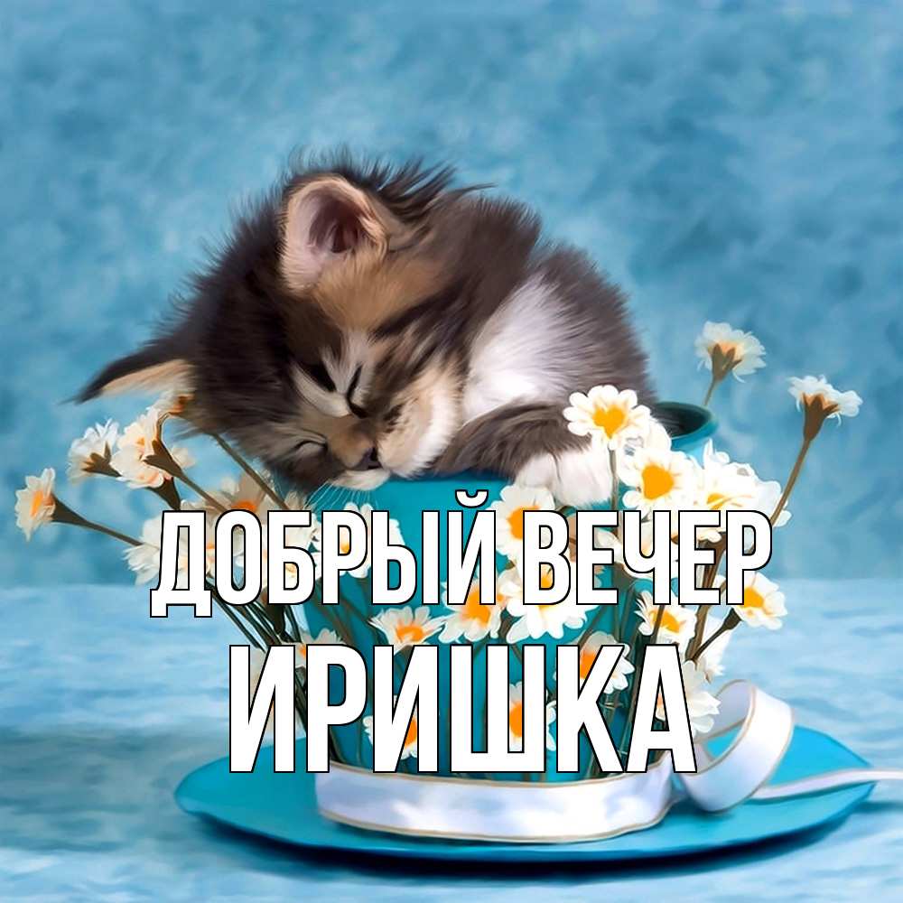 Открытка  с именем. Иришка, Добрый вечер  