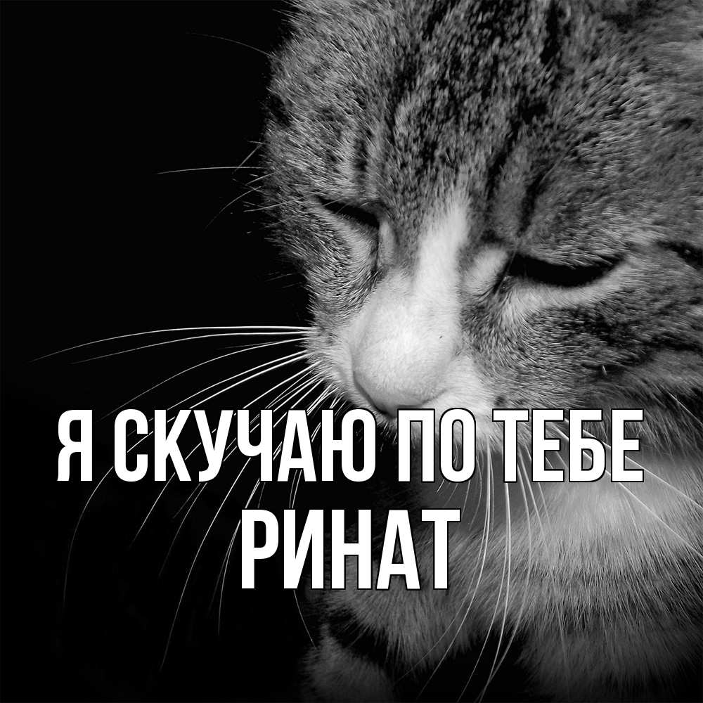 Открытка  с именем. Ринат, Я скучаю по тебе  