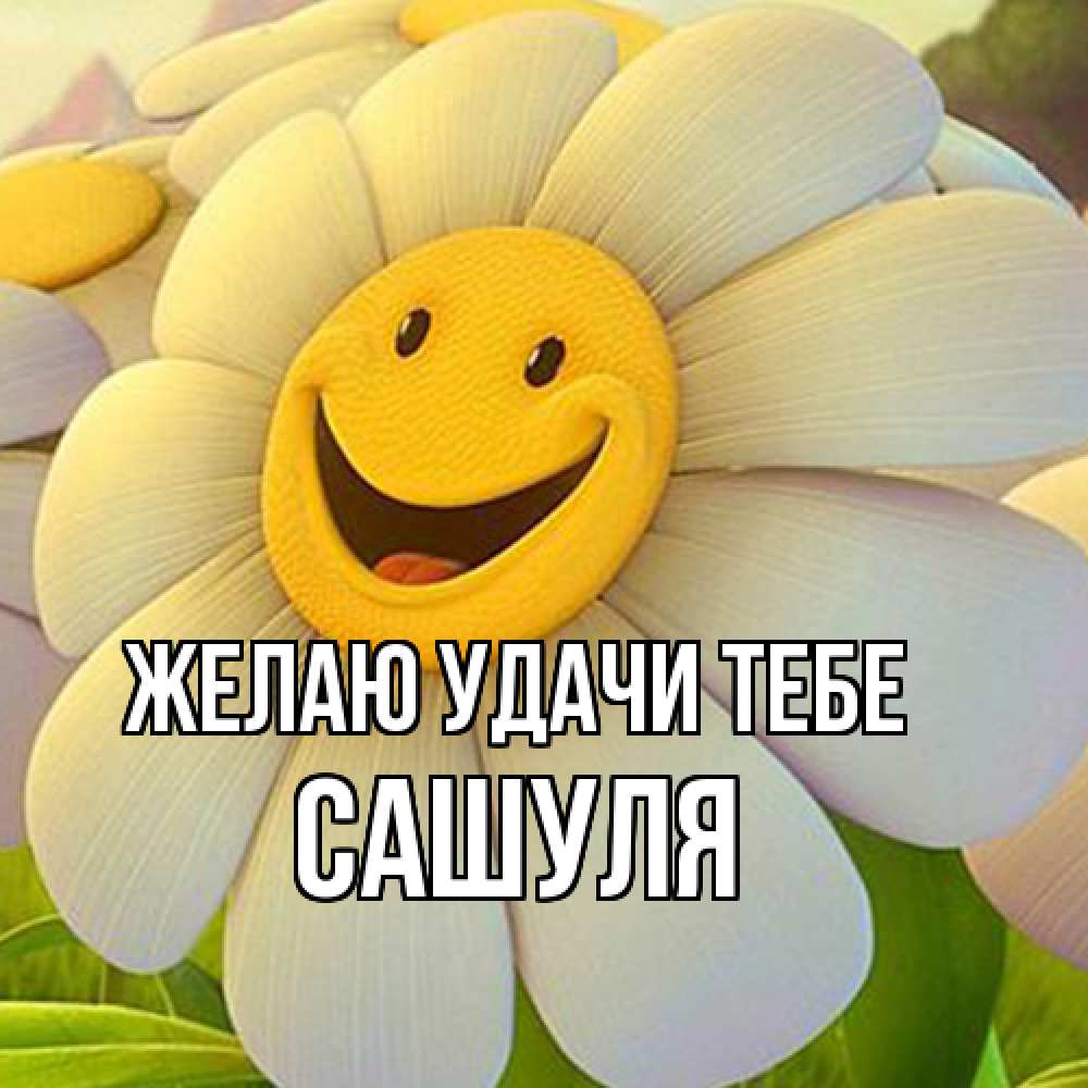 Открытка  с именем. Сашуля, Желаю удачи тебе  