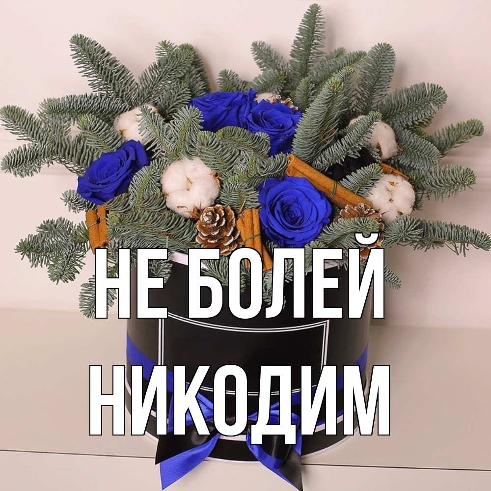 Открытка  с именем. Никодим, Не болей  