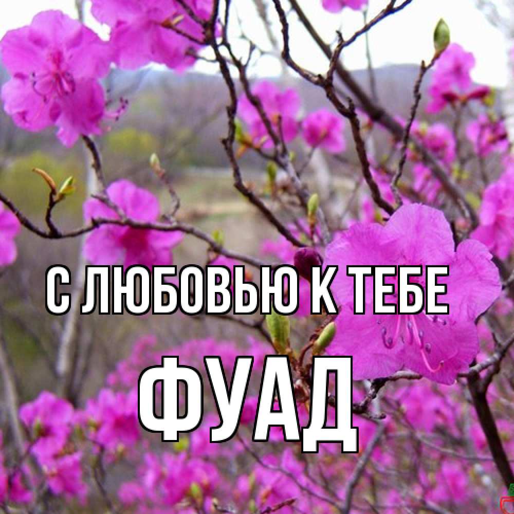 Открытка  с именем. Фуад, С любовью к тебе  