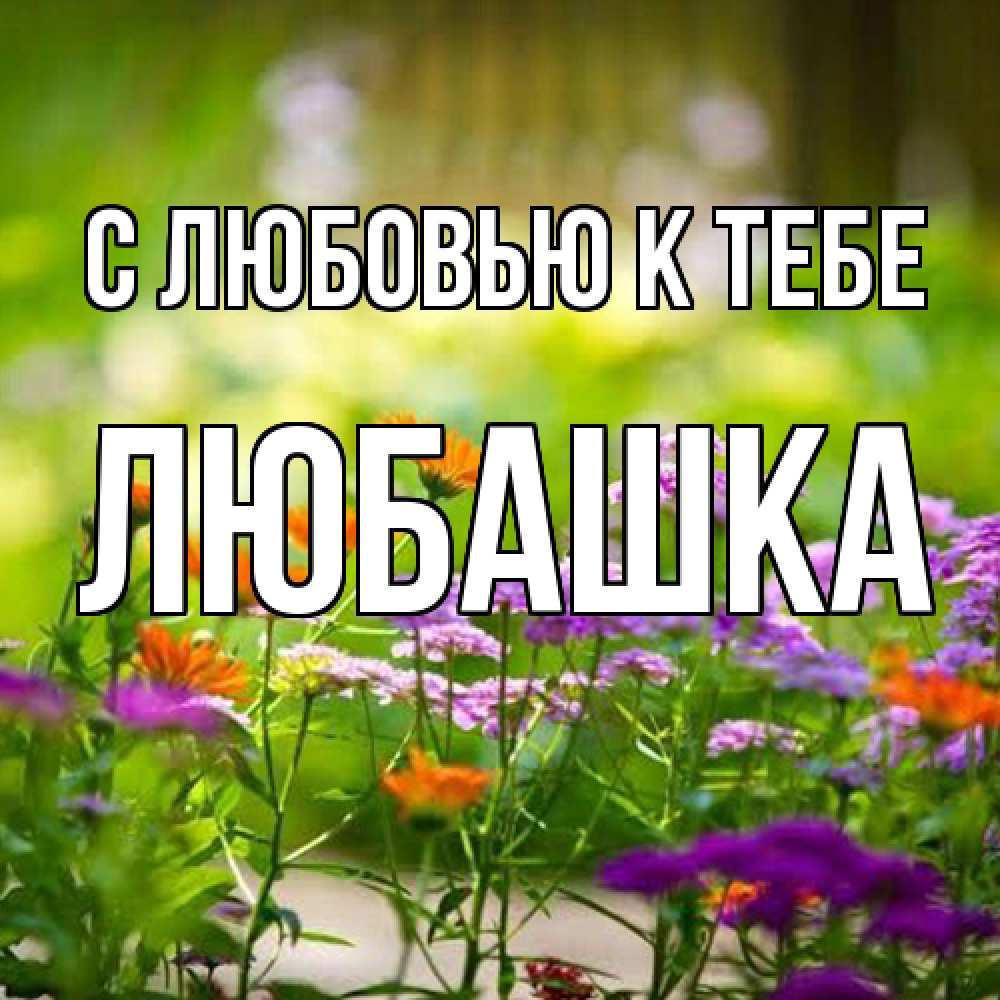 Открытка  с именем. Любашка, С любовью к тебе  