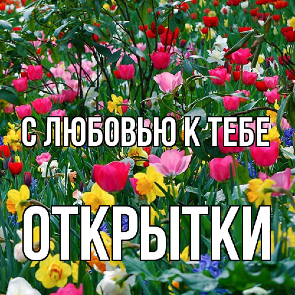 Открытка  с именем. открытки, С любовью к тебе  