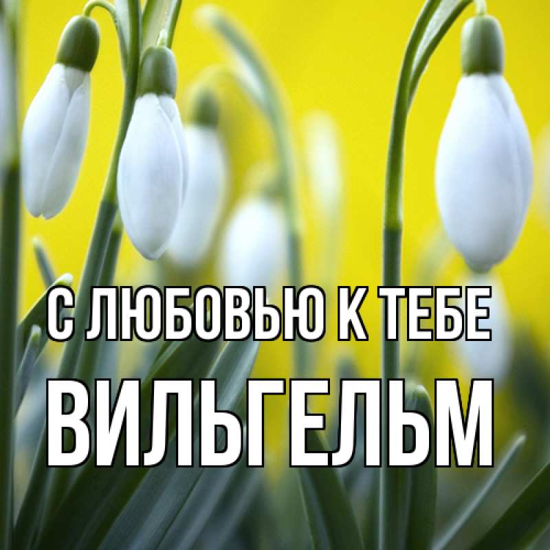 Картинка С любовью к тебе, Вильгельм