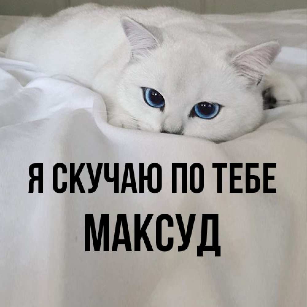 Открытка  с именем. Максуд, Я скучаю по тебе  