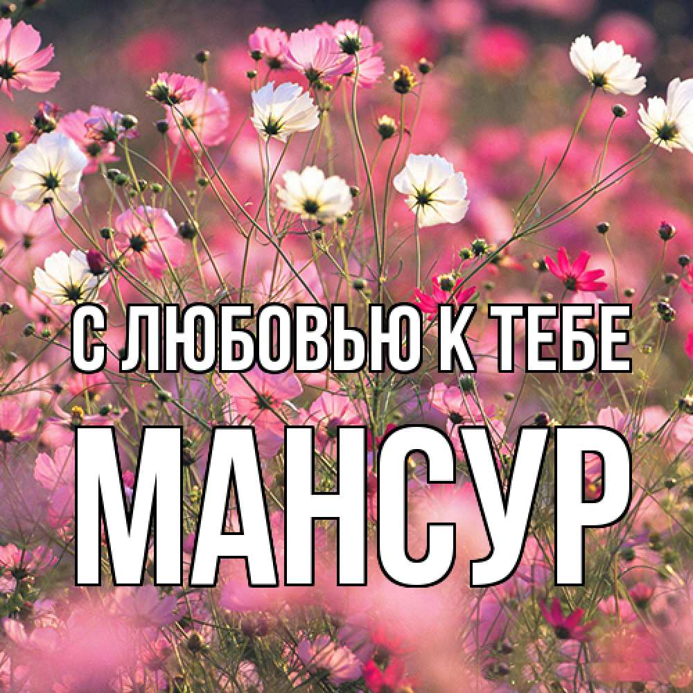 Открытка  с именем. Мансур, С любовью к тебе  