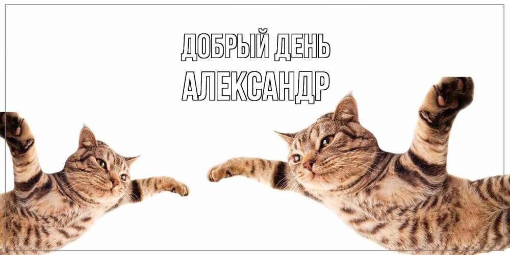Открытка  с именем. александр, Добрый день  