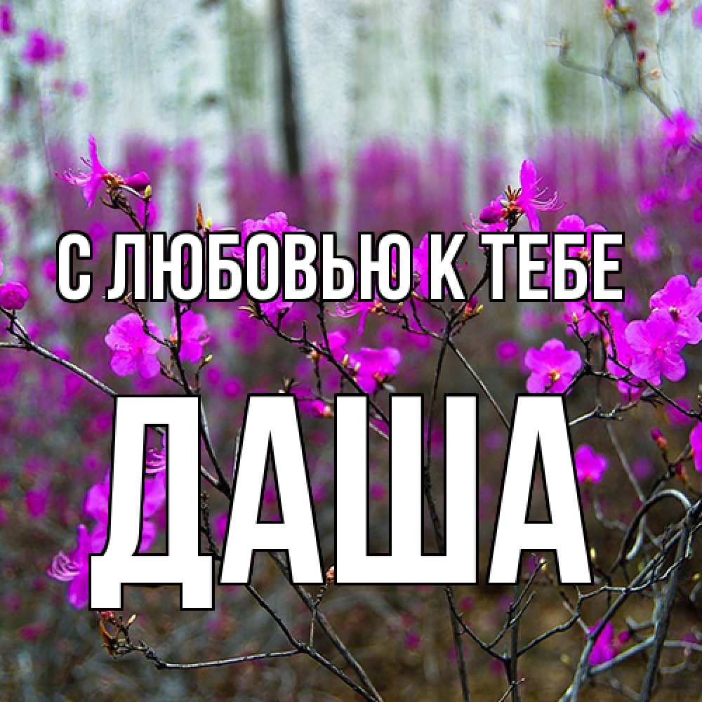 Открытка  с именем. даша, С любовью к тебе  