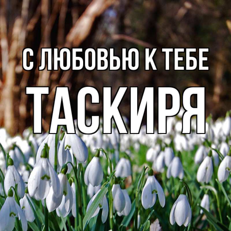 Картинка С любовью к тебе, Таскиря