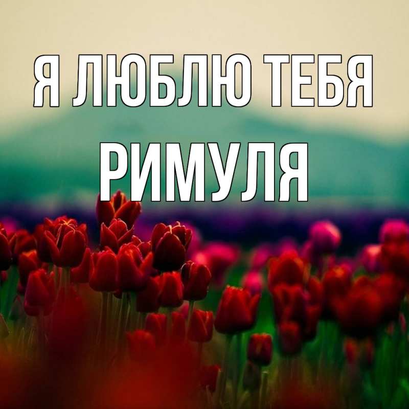 Картинка Я люблю тебя, римуля